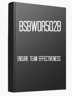 BSBWOR502B Ensure team effectiveness