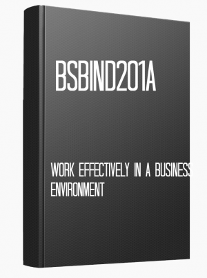 BSBIND201A Work effectively in a business environment