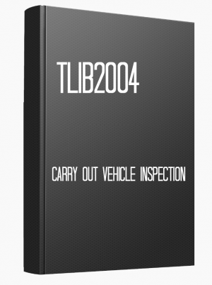 TLIB2004 Carry out vehicle inspection