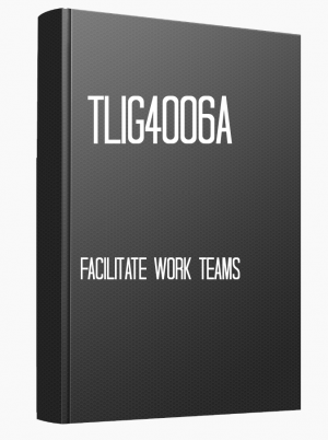 TLIG4006A Facilitate work teams