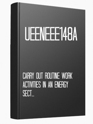 UEENEEE148A Carry out routine work activities in an energy sector environment